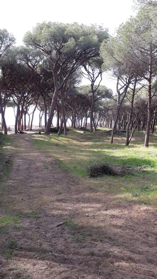 Un Mare Di Relax Apartment Follonica Exterior photo